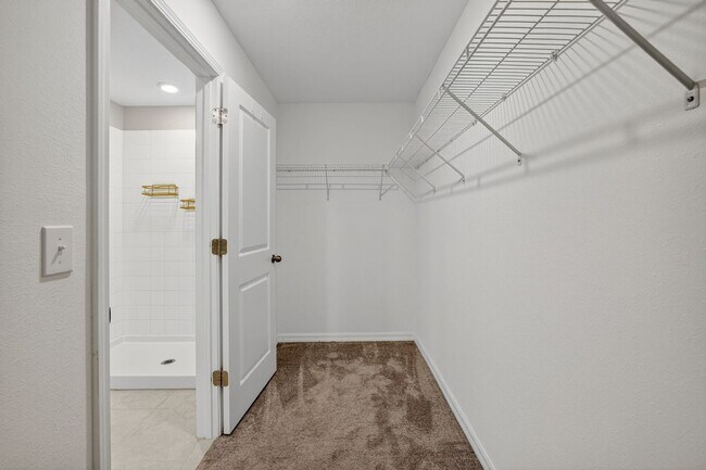 Building Photo - 17893 Cloudless Bliss Dr