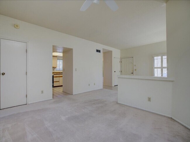 Building Photo - NOW ACCEPTING DOGS!