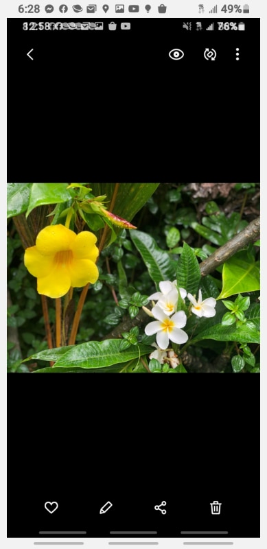 Building Photo - 15-2745-2745 Kahala St