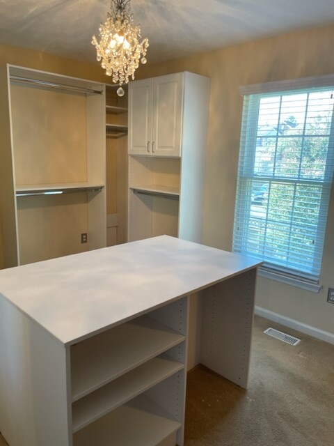 Massive Main Bedroom Closety - 9629 Overton Dr