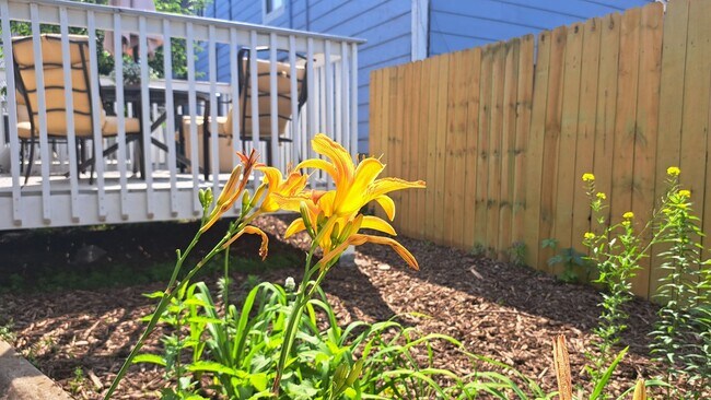 Building Photo - 1512