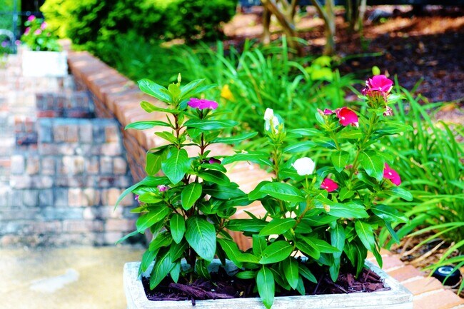 Interior Photo - Village Square Apartments