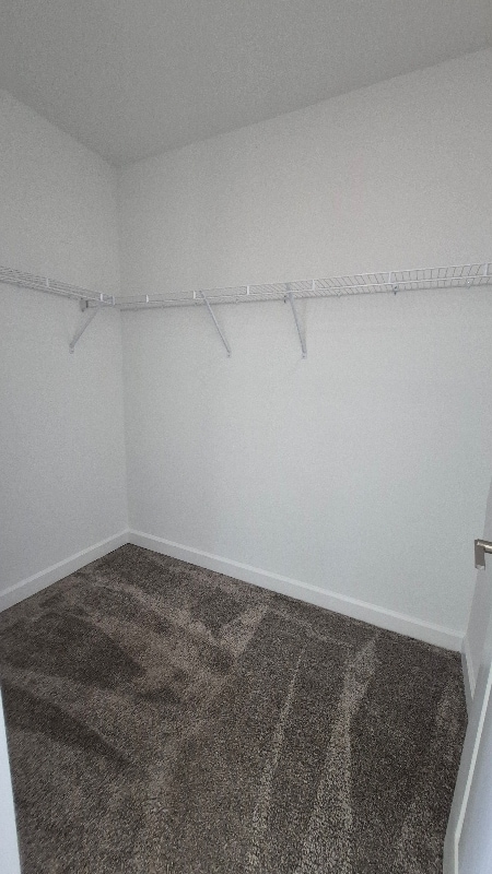 Building Photo - 11751 Boldface Dr.