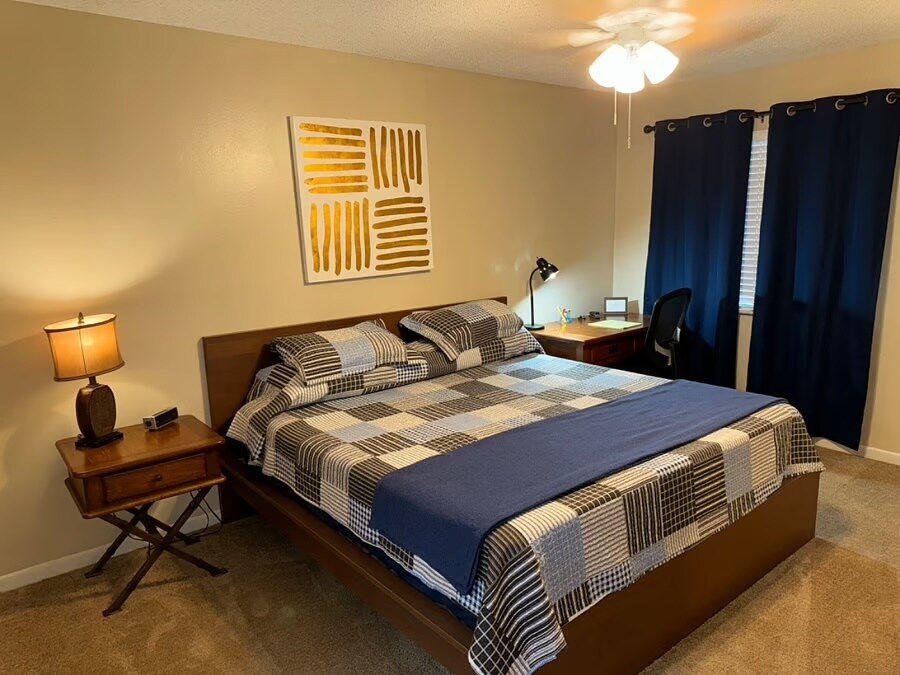 Primary Bedroom - 13289 Arbor Pointe Cir