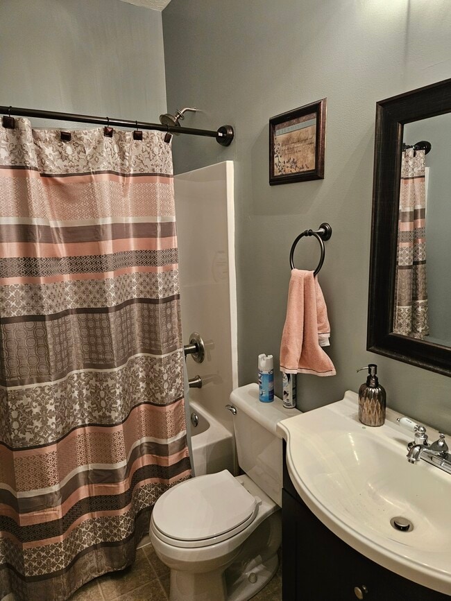 Guest bathroom - 2436 Bluffcrest Ln