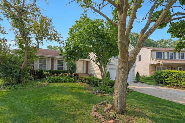 Building Photo - 1356 Larchmont Dr
