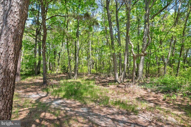 Building Photo - 11 Thistleton Rd