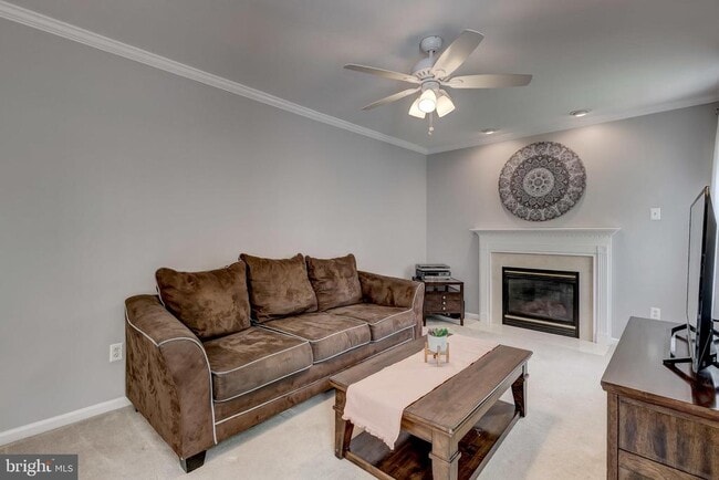 Building Photo - 583 Henderson Rd