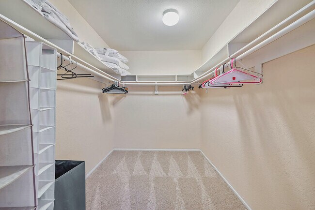 Building Photo - 181 Cam Arroyo S