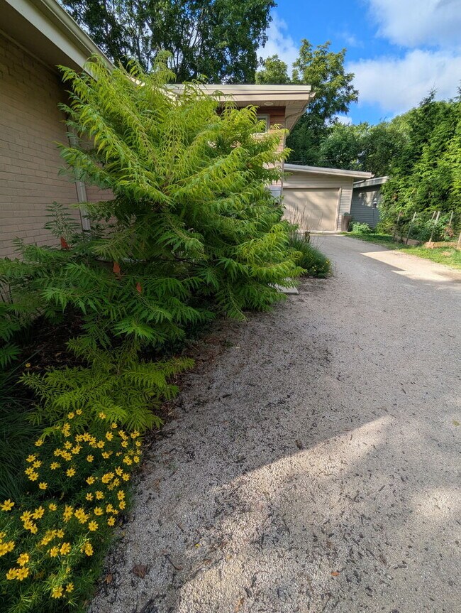 Building Photo - 321 Ferndale Rd