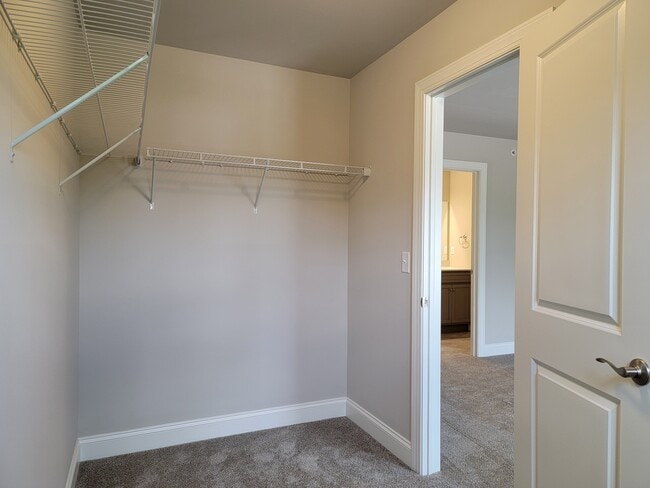 Building Photo - 262 Sage Blvd