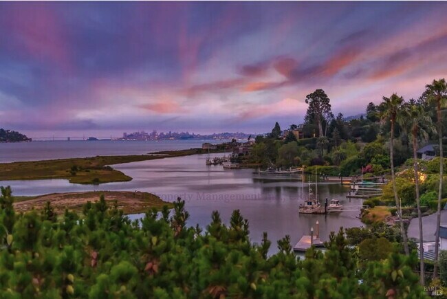 Building Photo - 315 E Strawberry Dr