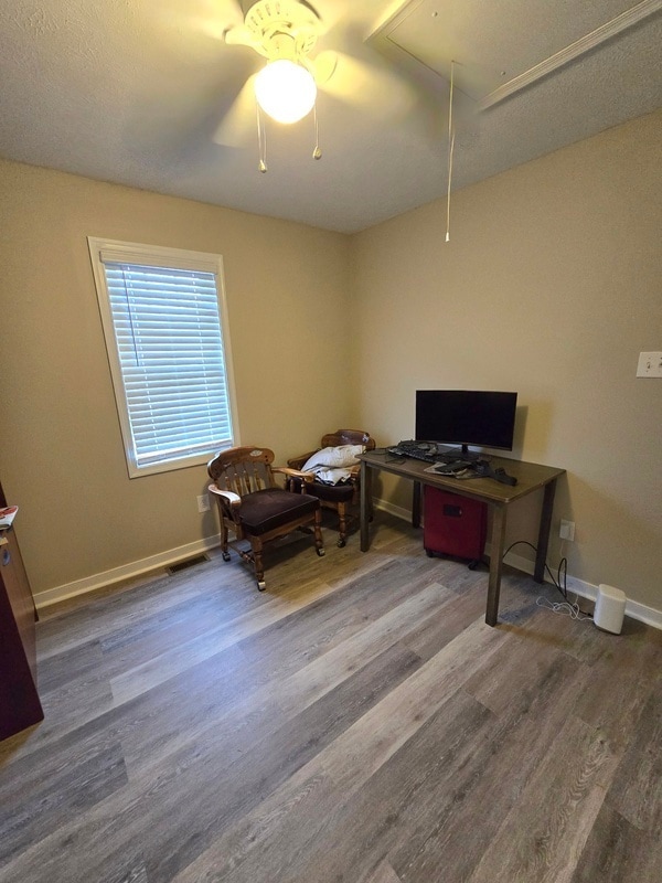 Building Photo - 4612 Raspberry Patch Ln