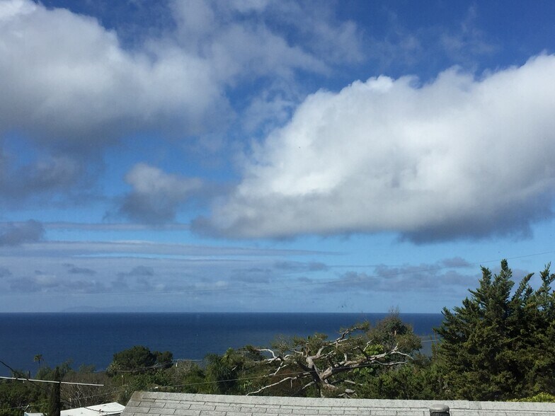 View - 31501 Burnside Pl