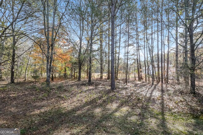 Building Photo - 837 Overlook Gln Dr