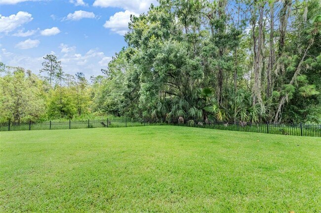 Building Photo - 11670 Renaissance View Ct