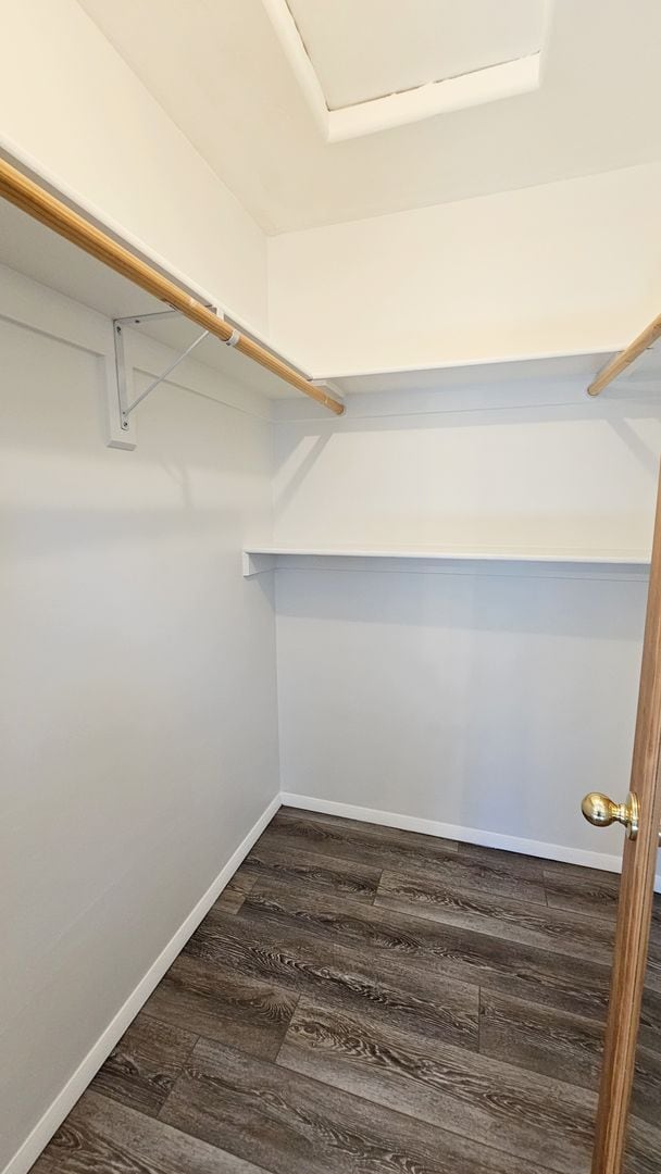 Building Photo - Beautiful 3 Bed, 2 Bath with a Bonus Room and Large Yard!