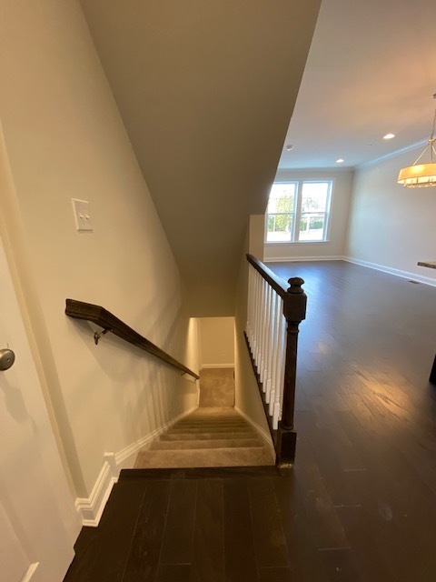 Stairs leading to Basement - 224 Charles Ellis Dr