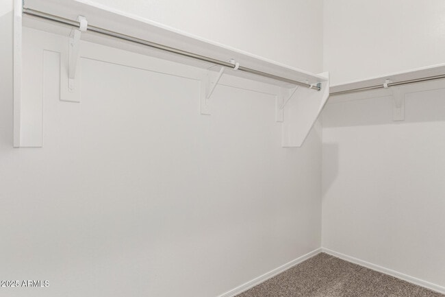 Building Photo - 103 S Collier Ln