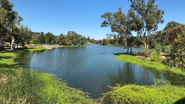 Building Photo - 182 Cuesta De Los Gatos