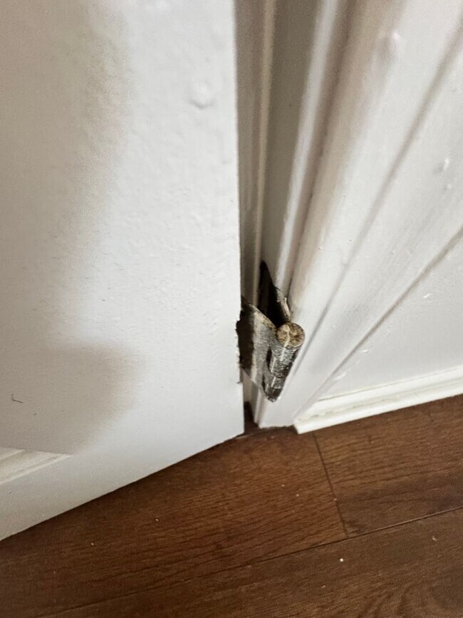 Building Photo - 3/1 House in Shelby, NC