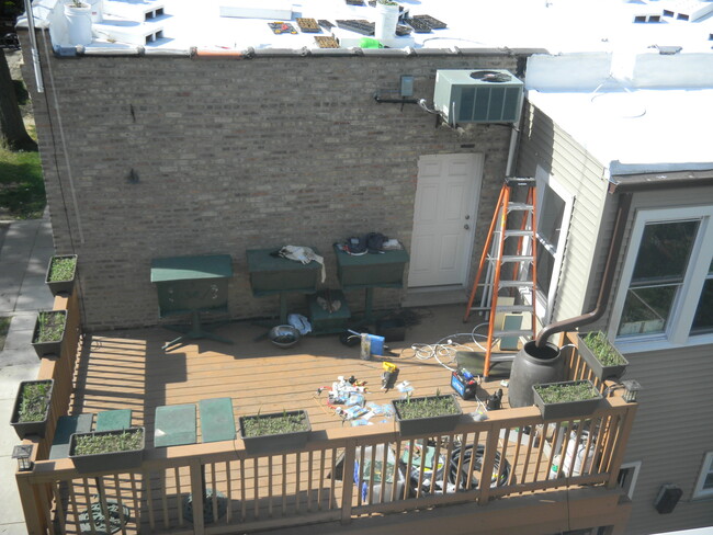 Building Photo - 3535 W Belmont Ave