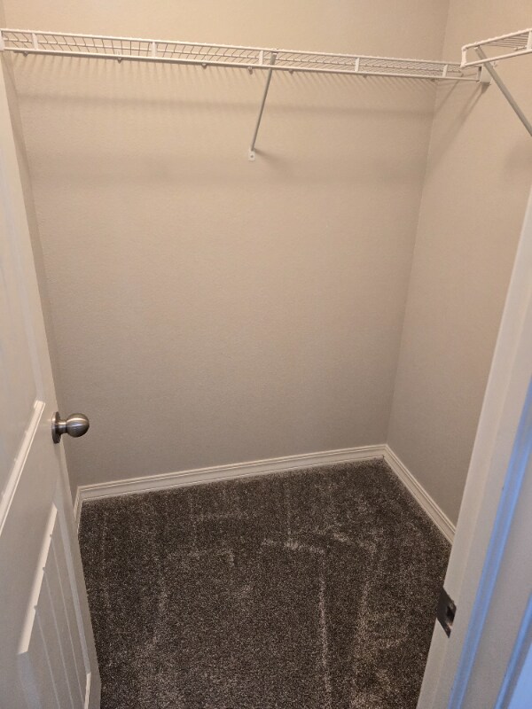 Building Photo - 10915 Lavanya Pl