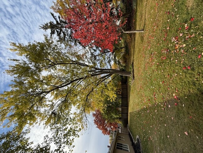 Building Photo - 4150 Williams Ct