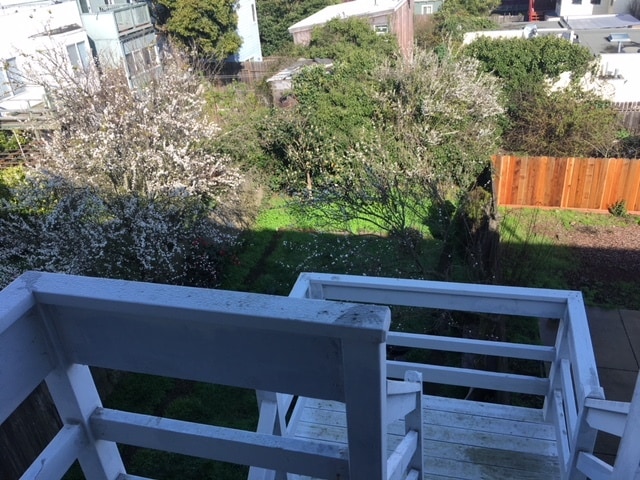 Backyard view from Kitchen - 126 Holloway Ave