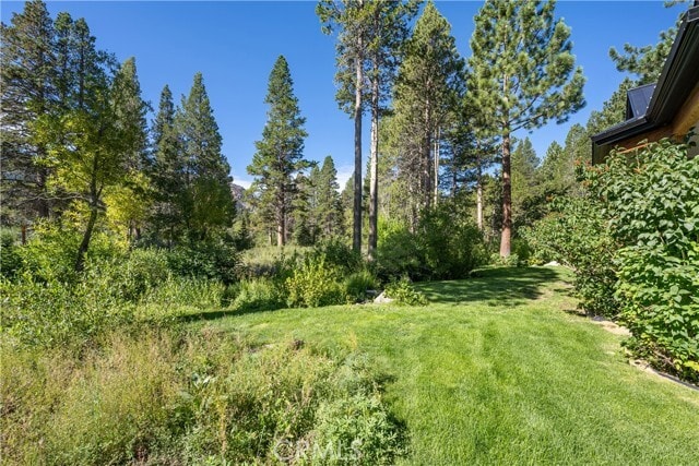 Building Photo - 595 Waterford Ave