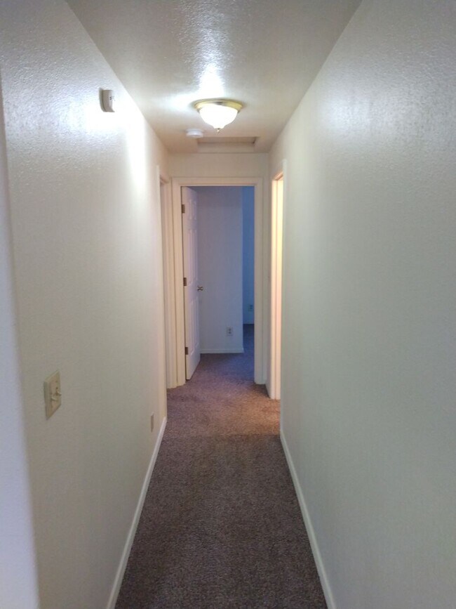Building Photo - 1344br