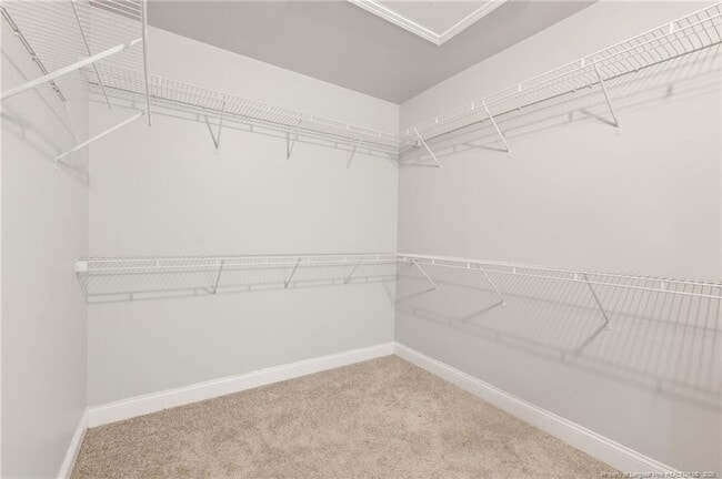 Building Photo - 1541 Gallant Fox Ct