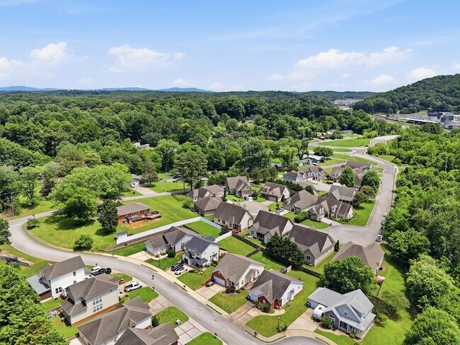 Building Photo - 5343 Asher Village Dr