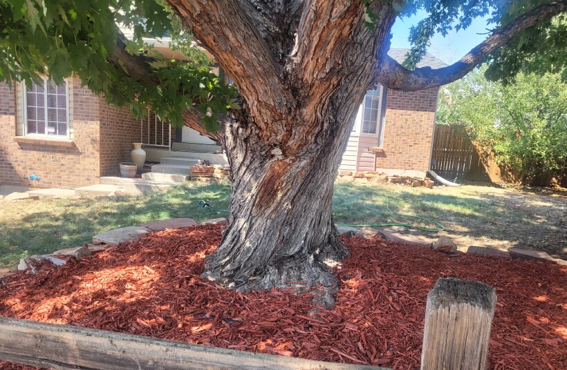 Building Photo - 18863 east milan