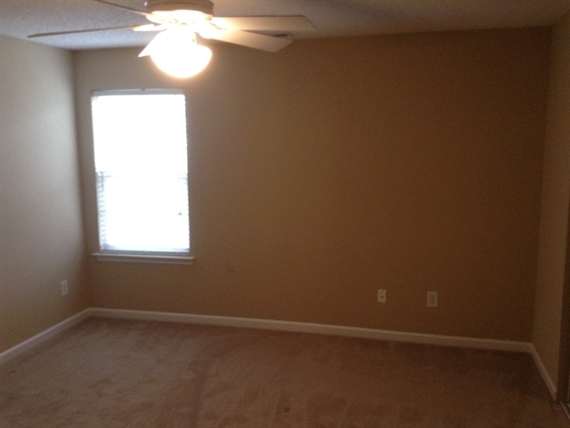 Building Photo - 10411 Pickerel Ln
