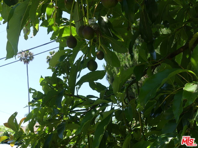 Building Photo - 3101 Cardiff Ave