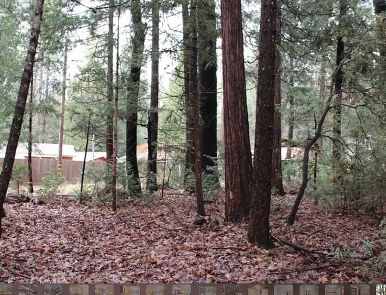 Building Photo - 14737 Wildlife Dr