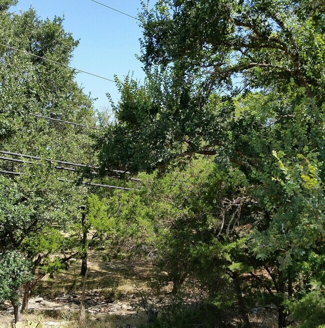 Building Photo - 3 Bedroom 2 Bathroom Georgetown Home