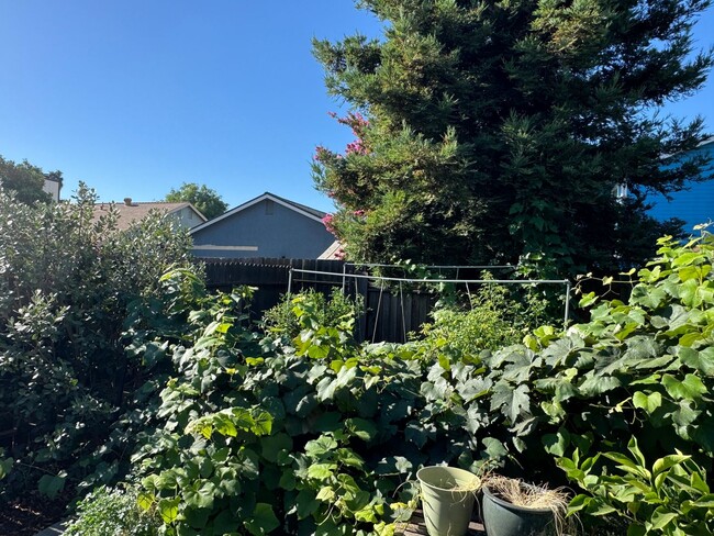 Building Photo - Charming 3-Bedroom, 2-Bath Home with Solar...