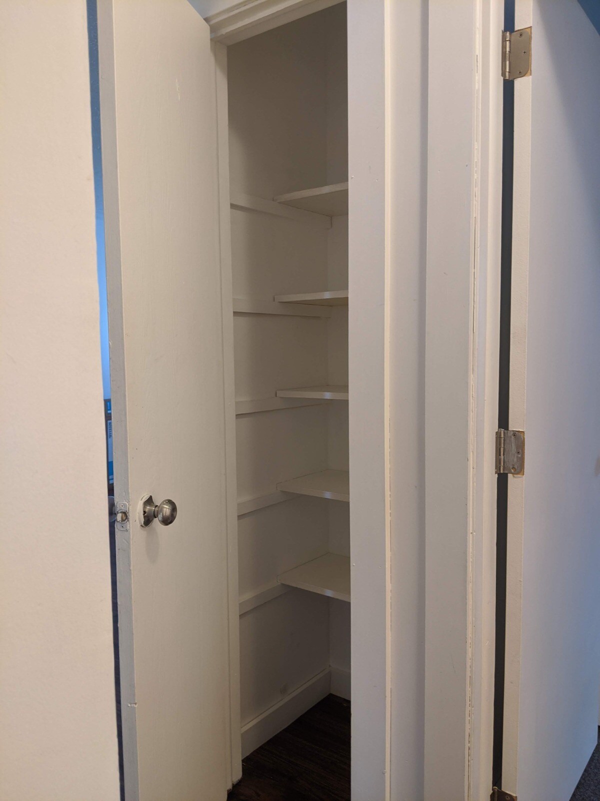 Living room closet - 1227 Hilltop Dr
