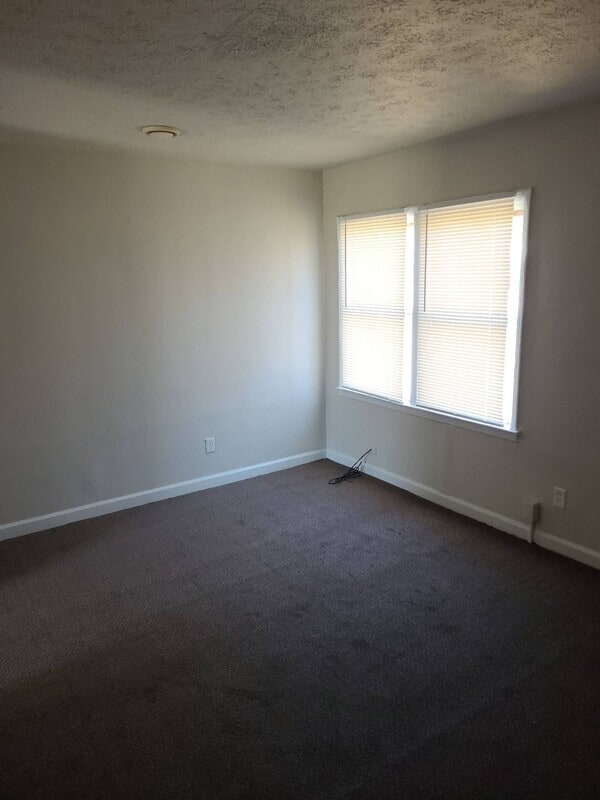 Building Photo - 206 Steedly Dr