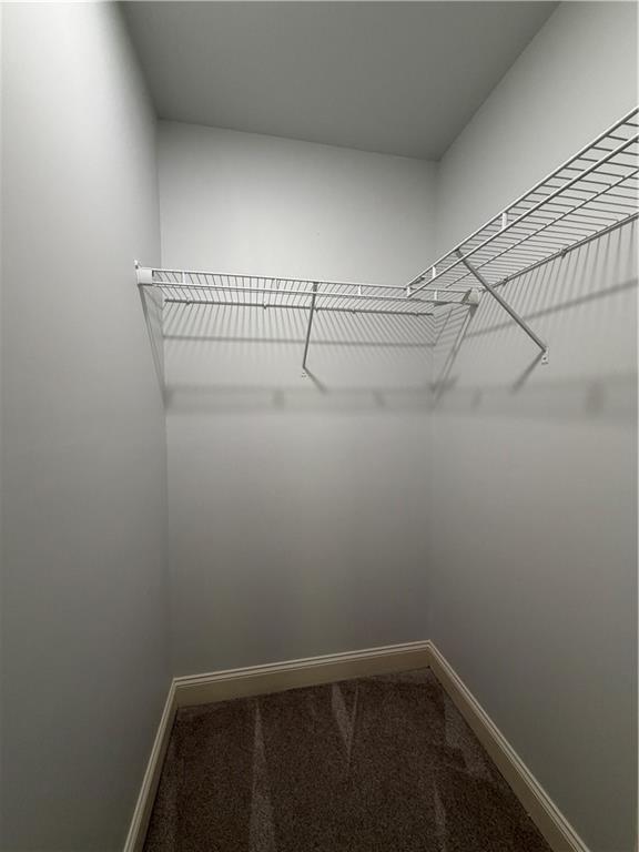 Building Photo - 4805 Carriage Bridge Ln