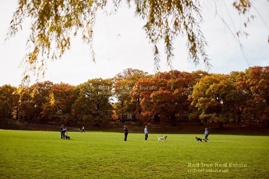 Building Photo - 312 Tappan St