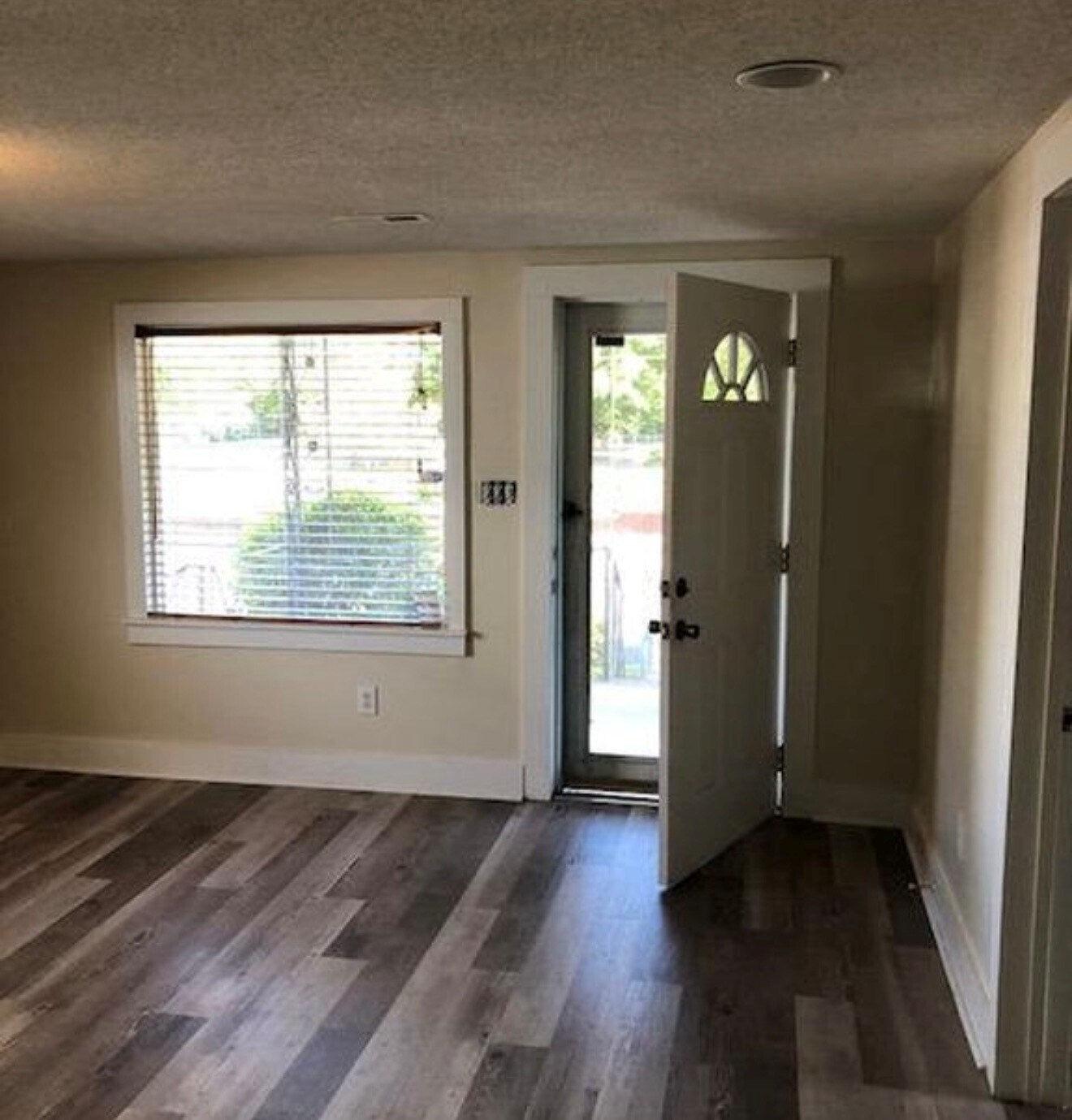 Bright living space and updated flooring - 1005 Castle St