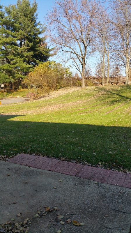 Building Photo - 129 Robinhood Dr