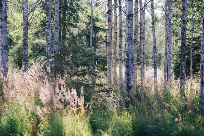 Building Photo - 48561 Rustic Ave