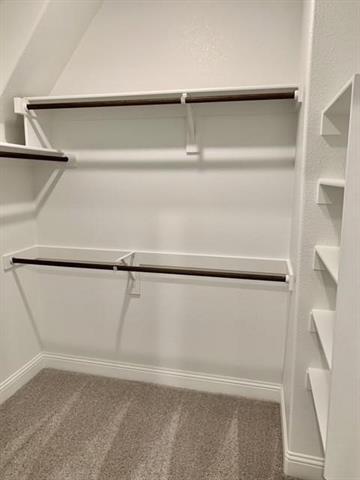 Building Photo - 4404 Thalia Wy