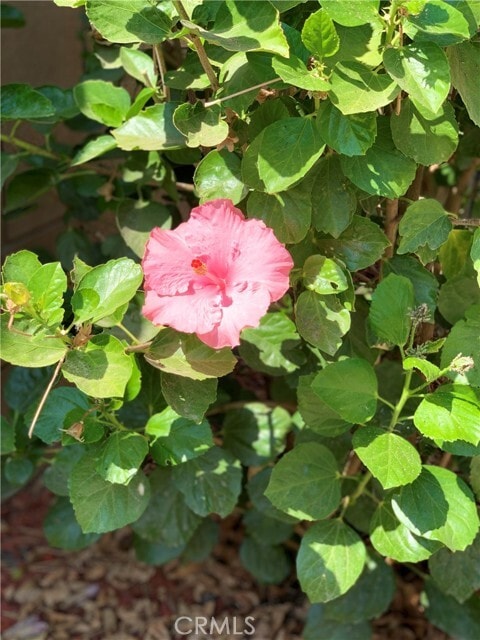 Building Photo - 2772 E Raspberry Ln