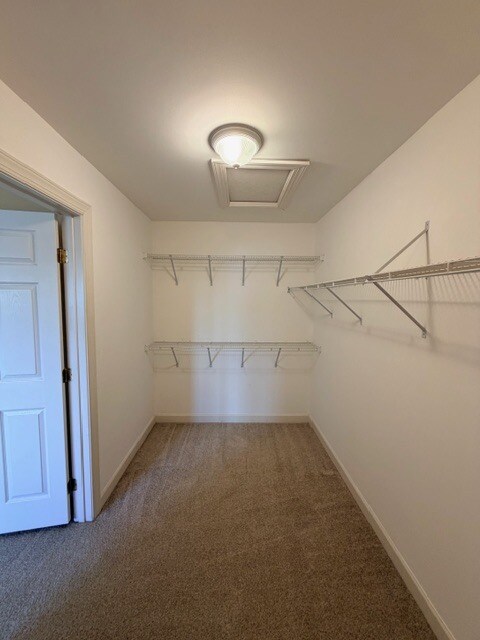 Building Photo - 203 Altair Way
