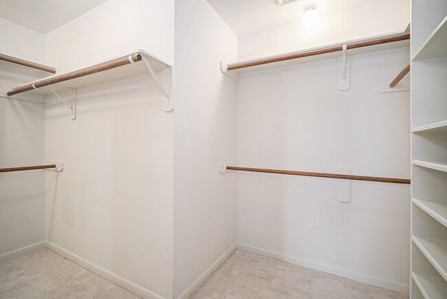 Building Photo - 5807 Carta Valley Ln